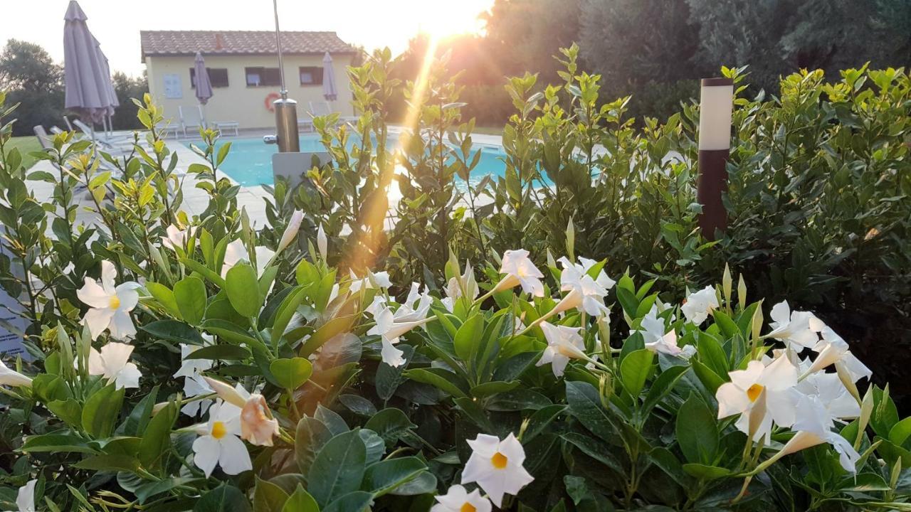 Villa Punta Dei Lecci Riparbella Exterior foto